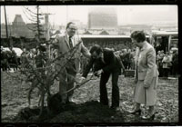 Black and white photograph of three people planting a tree at Caborn's Corner, 1982.