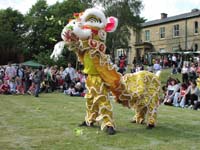 Colour photograph of a Chinese lion dancer at Abbeyfield Park Community Festival.