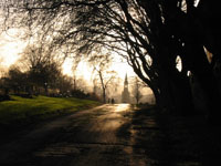 Colour photograph of a path in Burngreave Cemetery.