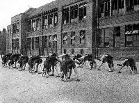 Black and white photograph of children doing gymnastics at Burngreave Secondary Modern  School in the 1930s