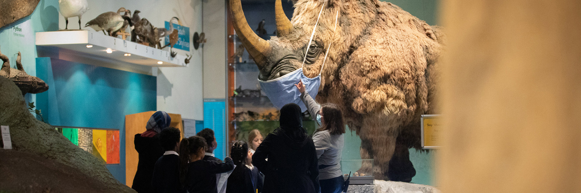 A group of primary school students listening to an adult talk in the What On Earth gallery by a lifesized woolly rhino model. Both the speaker and the rhino are wearing facemasks.