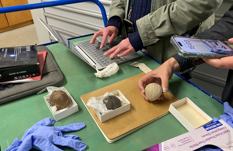 A photograph of two people looking at various natural history collection objects on a table. Only their arms and torsos are visible. There blue gloves, notepads and a laptop on the table also. The collection items, in boxes, are round in shape and packaged in tissue