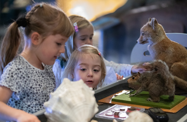 A group of children look at at objects including taxidermy animals and shells 