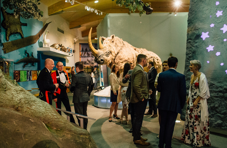 A group of people socialising in formal clothes at a drinks reception at Weston Park Museum in front a life-size model of a woolly rhino.