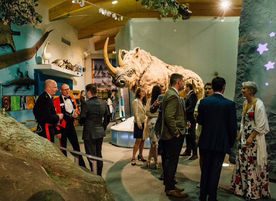 A group of people socialising in formal clothes at a drinks reception at Weston Park Museum in front a life-size model of a woolly rhino.