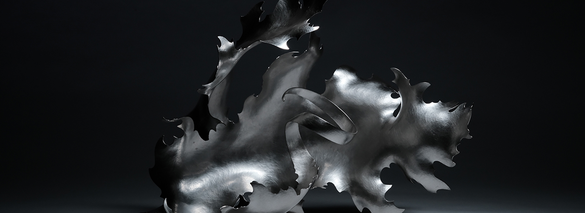 A sculptural, silver coloured metal form reminiscent of a flame, a wave or an exotic plant. It is shown against a monochrome background with high contrast lighting.