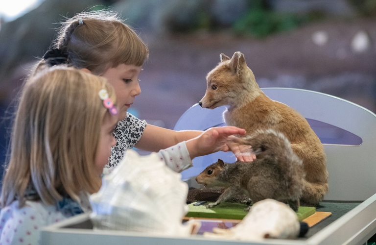 Two children interact with an examples of museum taxidermy including a squirrel and a fox cub.