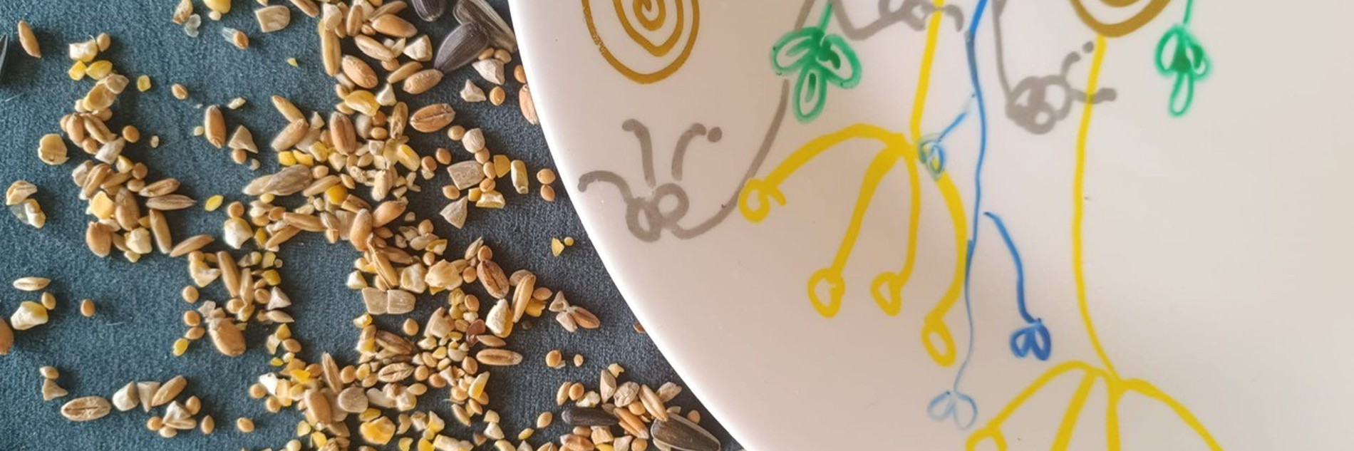 A decorated plate next to some bird seed. 