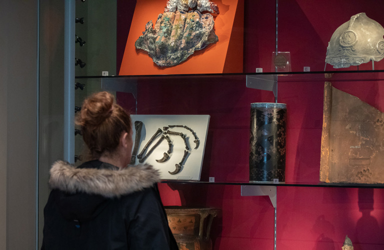 An adult looking at various items on a shelf in a display case